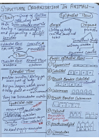 Animal Tissue 1.pdf